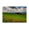 thumbnail image 1 of Trademark Fine Art 'Rustic Italy 1' Canvas Art by Maciej Duczynski, 1 of 3