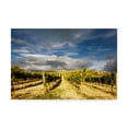 thumbnail image 1 of Trademark Fine Art 'Rustic Italy 7' Canvas Art by Maciej Duczynski, 1 of 3