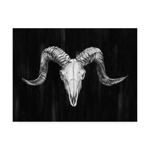 Trademark Fine Art 'Rustic Ram Mount I' Canvas Art by Ethan Harper