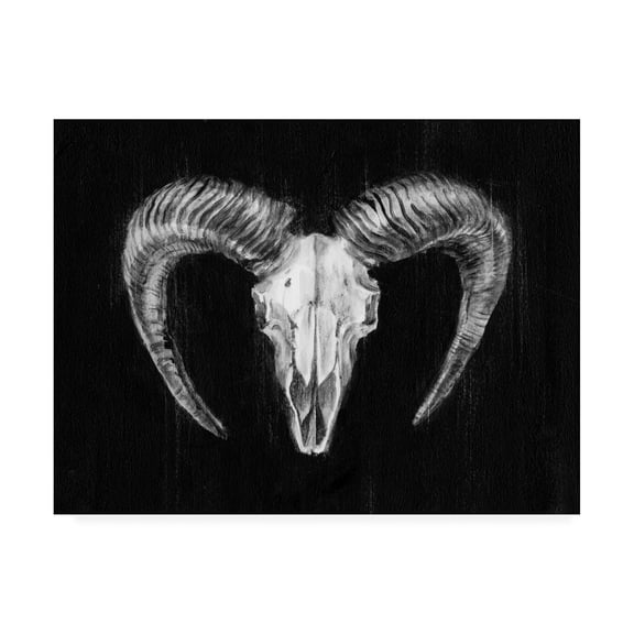 Trademark Fine Art 'Rustic Ram Mount Ii' Canvas Art by Ethan Harper
