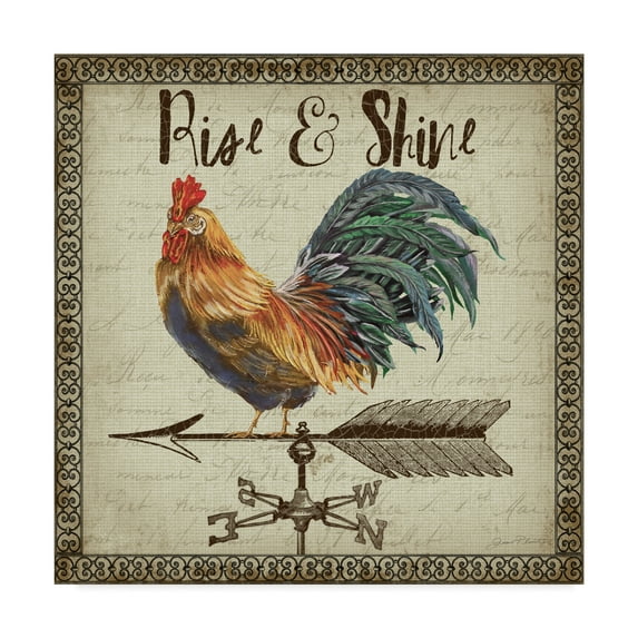 Trademark Fine Art 'Rustic Rooster Vane 4' Canvas Art by Jean Plout