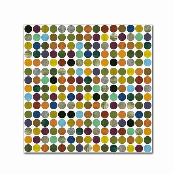 Trademark Fine Art "Rustic Rounds 125" Canvas Art by Michelle Calkins