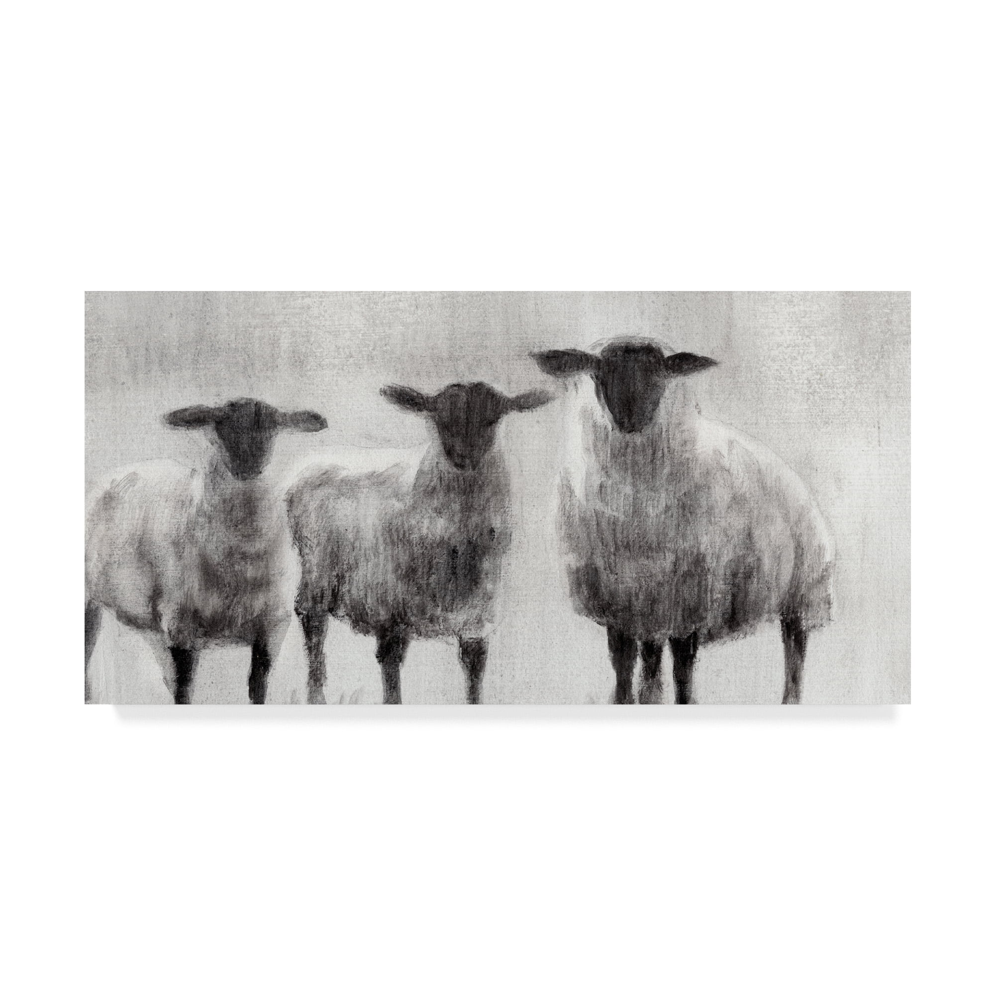 Trademark Fine Art 'Rustic Sheep I' Canvas Art by Ethan Harper