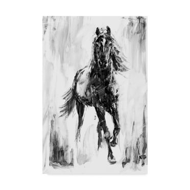 Trademark Fine Art 'Rustic Stallion I' Canvas Art by Ethan Harper
