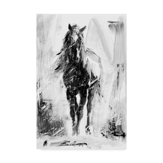 Trademark Fine Art 'Rustic Stallion II' Canvas Art by Ethan Harper