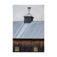 thumbnail image 1 of Trademark Fine Art 'Rustic Weathervane' Canvas Art by Brenda Petrella Photography Llc, 1 of 3