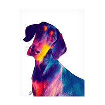 Trademark Fine Art Ruth Day Finn Dog Canvas Wall Art