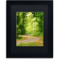 thumbnail image 1 of Trademark Fine Art "S Road" Canvas Art by Philippe Sainte-Laudy Black Matte, Black Frame, 1 of 4