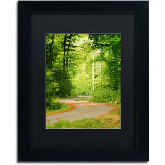 Trademark Fine Art "S Road" Canvas Art by Philippe Sainte-Laudy Black Matte, Black Frame