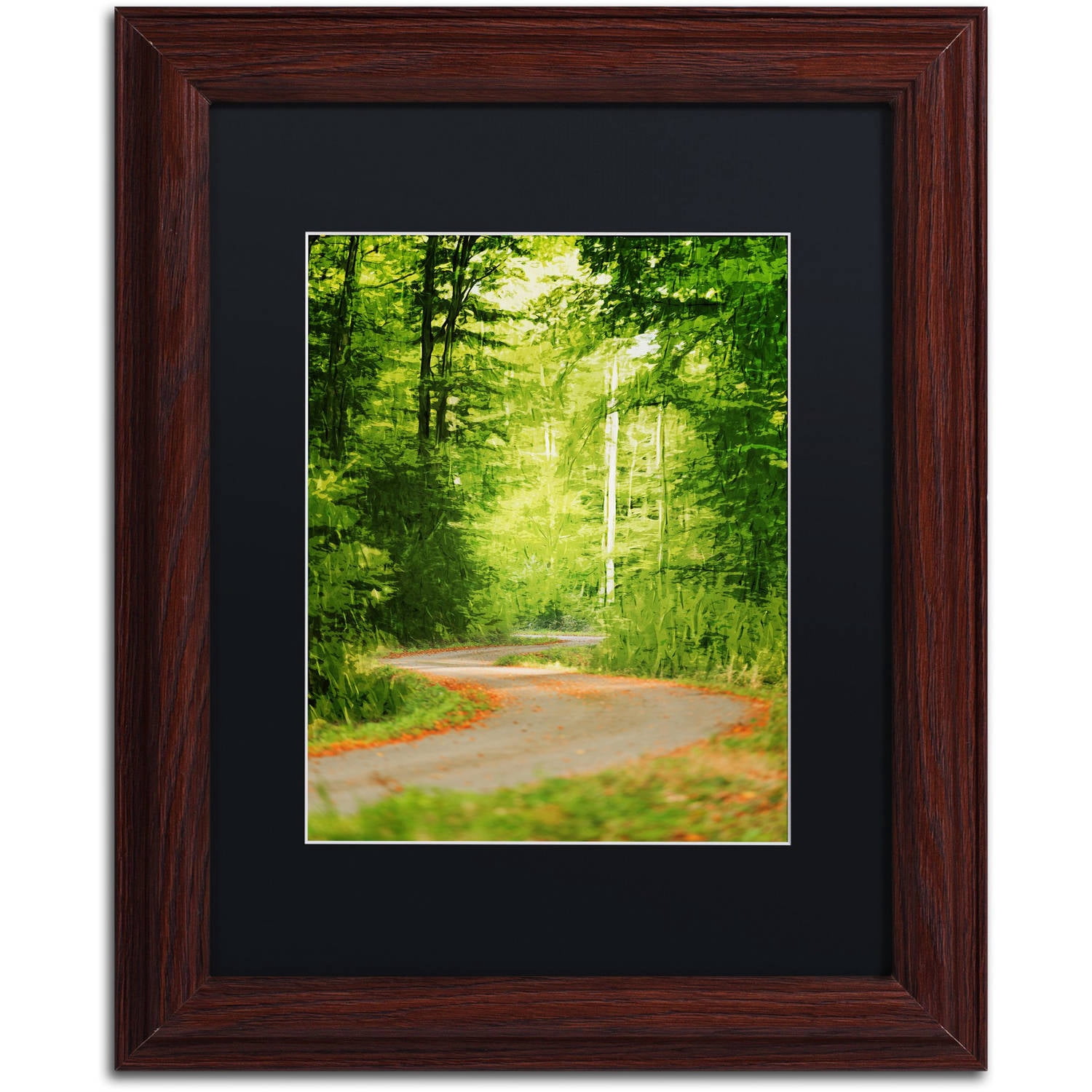 Trademark Fine Art "S Road" Canvas Art by Philippe Sainte-Laudy Black Matte, Wood Frame