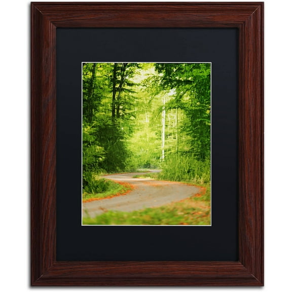 Trademark Fine Art "S Road" Canvas Art by Philippe Sainte-Laudy Black Matte, Wood Frame