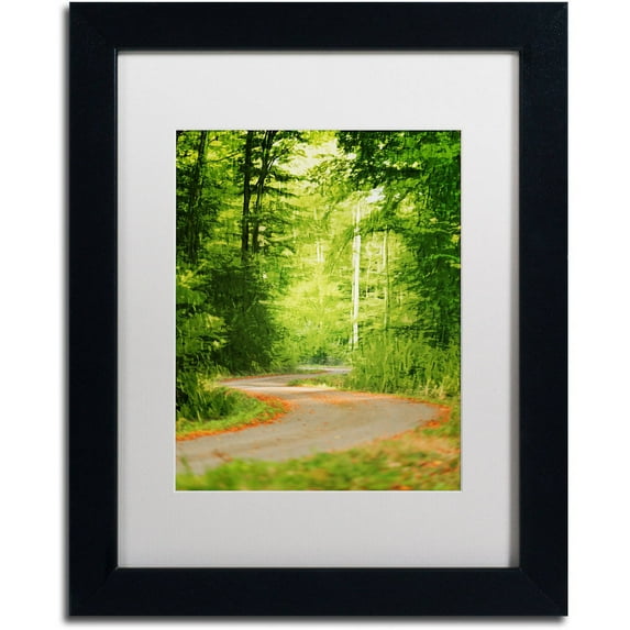 Trademark Fine Art "S Road" Canvas Art by Philippe Sainte-Laudy White Matte, Black Frame
