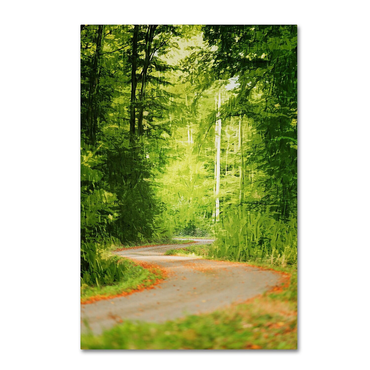 Trademark Fine Art "S Road" Canvas Art by Philippe Sainte-Laudy