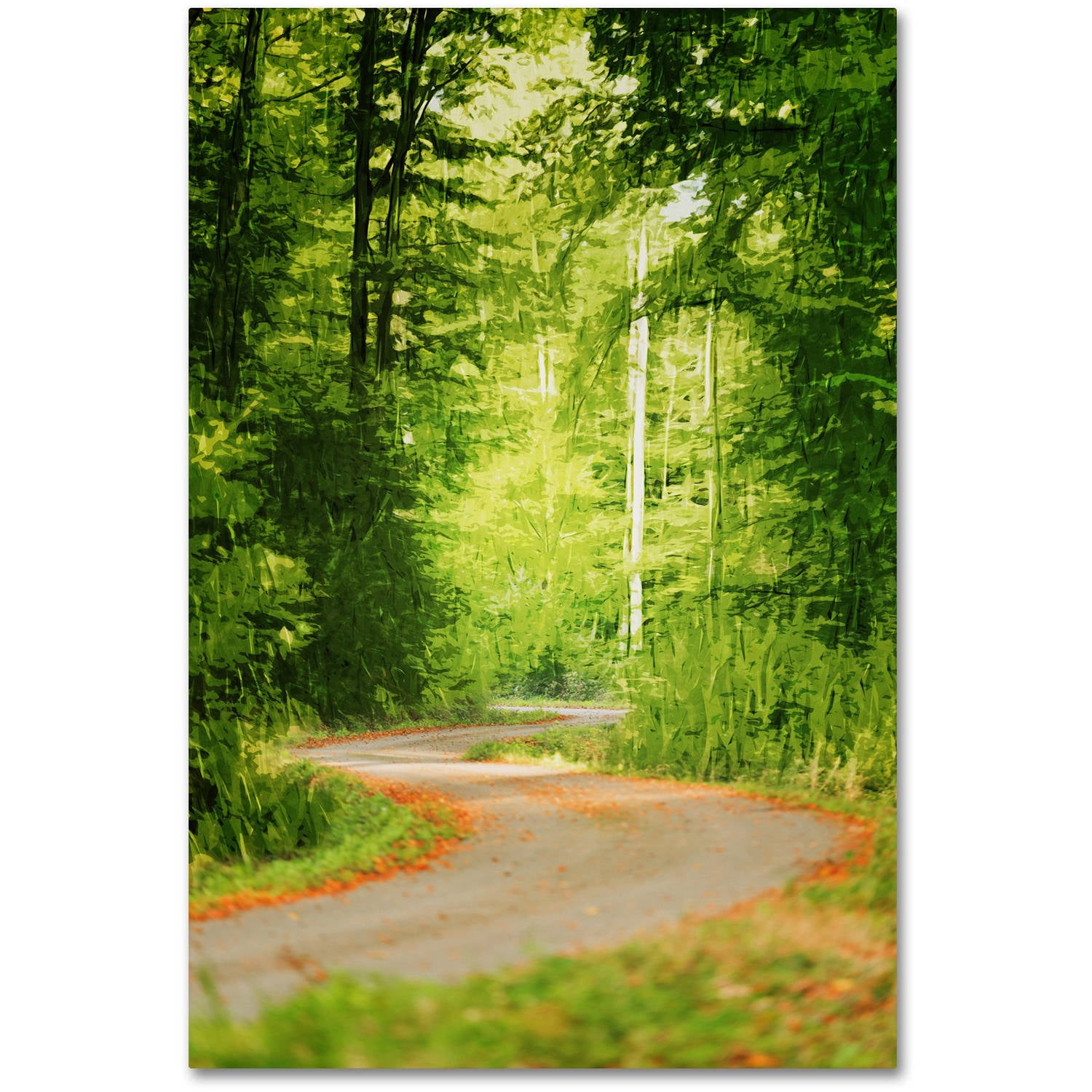 Trademark Fine Art ''S Road'' by Philippe Sainte-Laudy 30" x 47" Canvas Art (PSL0447-C3047GG)