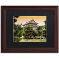 thumbnail image 1 of Trademark Fine Art "Sacred Garden V" Canvas Art by Philippe Hugonnard, Black Matte, Wood Frame, 1 of 1