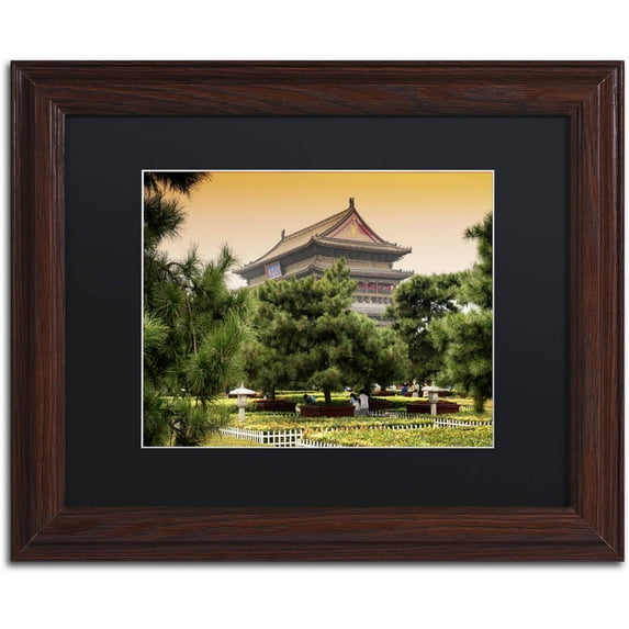 Trademark Fine Art "Sacred Garden V" Canvas Art by Philippe Hugonnard, Black Matte, Wood Frame