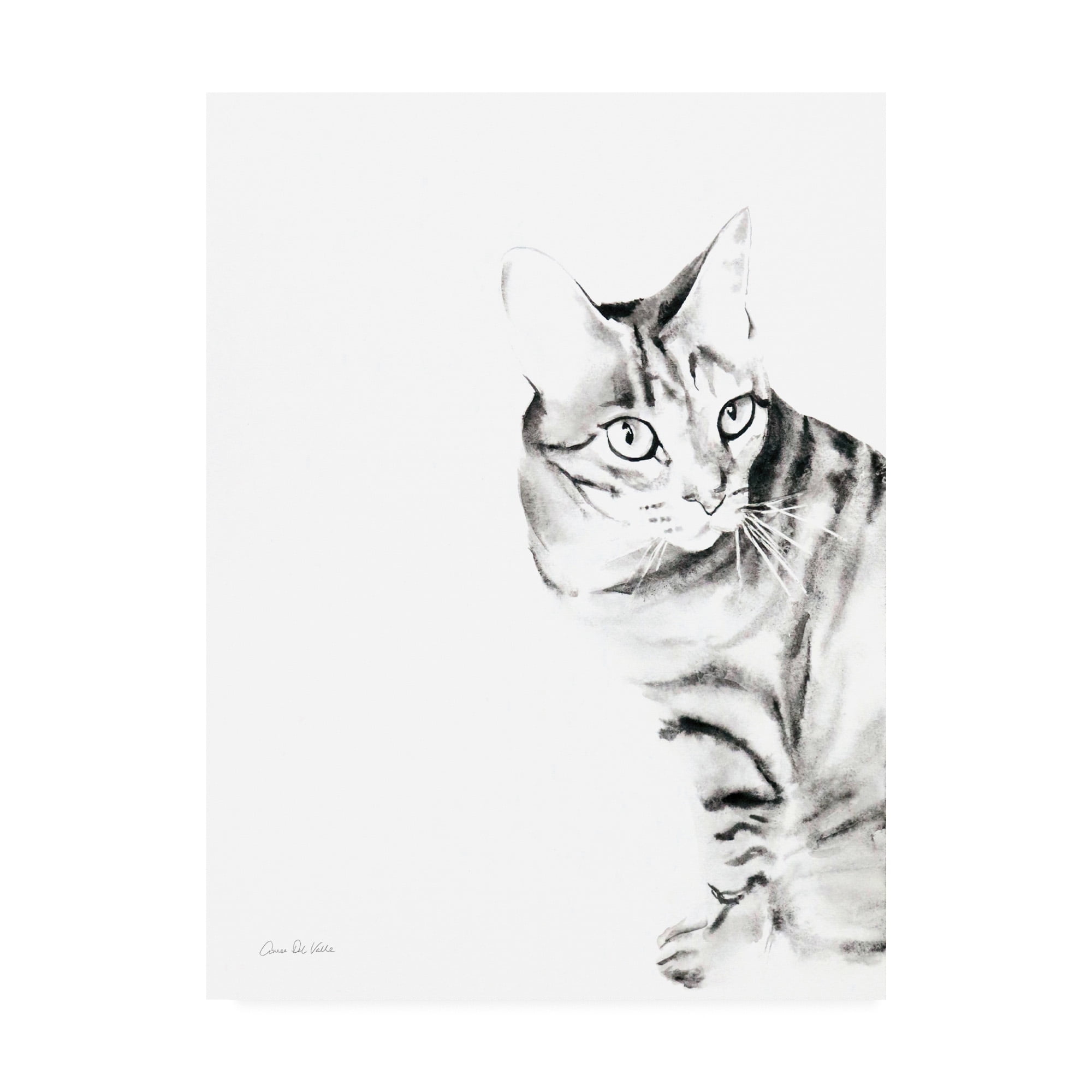 Trademark Fine Art 'Sadie the Cat' Canvas Art by Aimee Del Valle