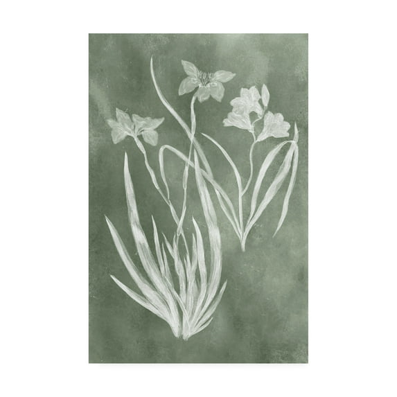 Trademark Fine Art 'Sage Impressions VI' Canvas Art by Vision Studio