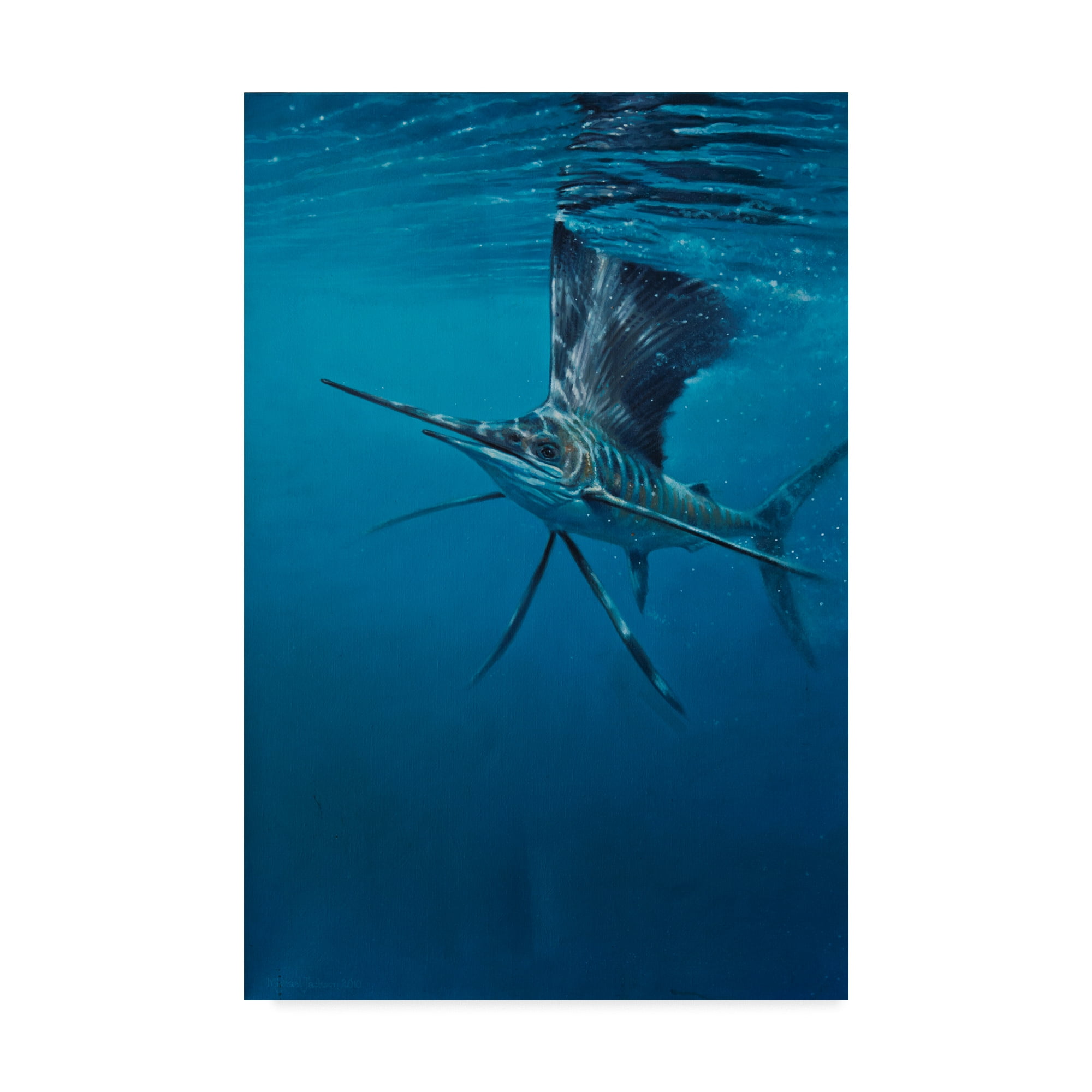Trademark Fine Art 'Sailfish' Canvas Art by Michael Jackson