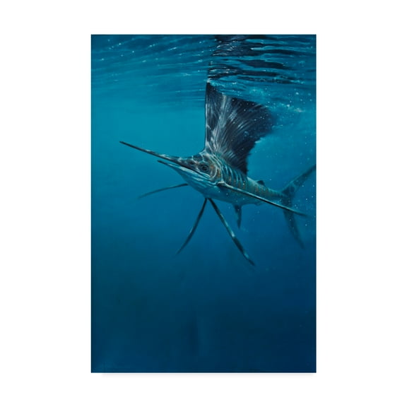 Trademark Fine Art 'Sailfish' Canvas Art by Michael Jackson