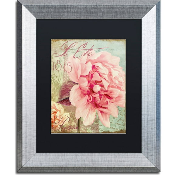 Trademark Fine Art "Saisons III" Canvas Art by Color Bakery, Black Matte, Silver Frame