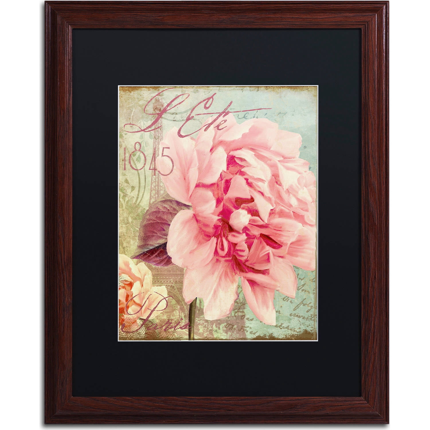 Trademark Fine Art "Saisons III" Canvas Art by Color Bakery, Black Matte, Wood Frame