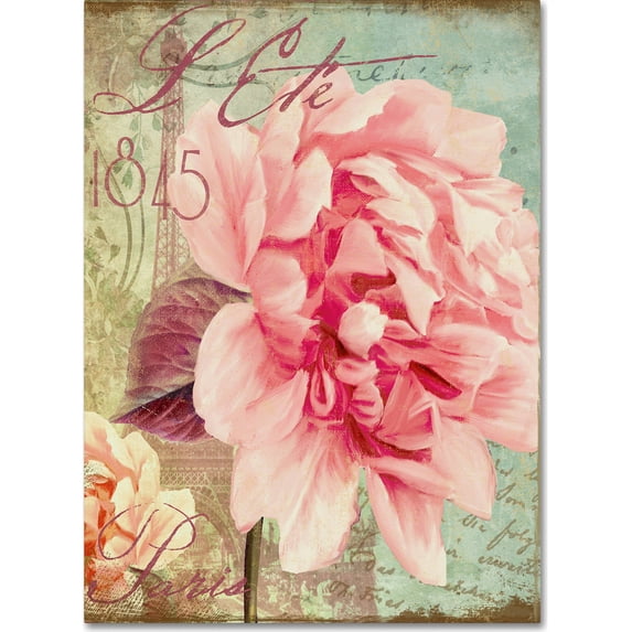 Trademark Fine Art "Saisons III" Canvas Art by Color Bakery