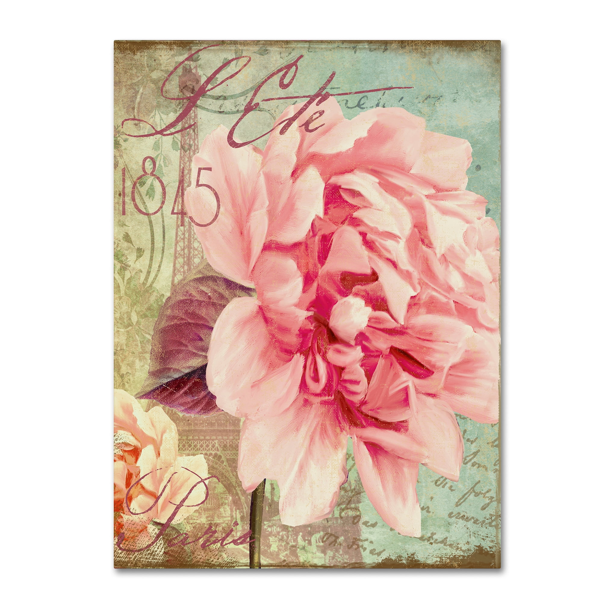 Trademark Fine Art "Saisons III" Canvas Art by Color Bakery
