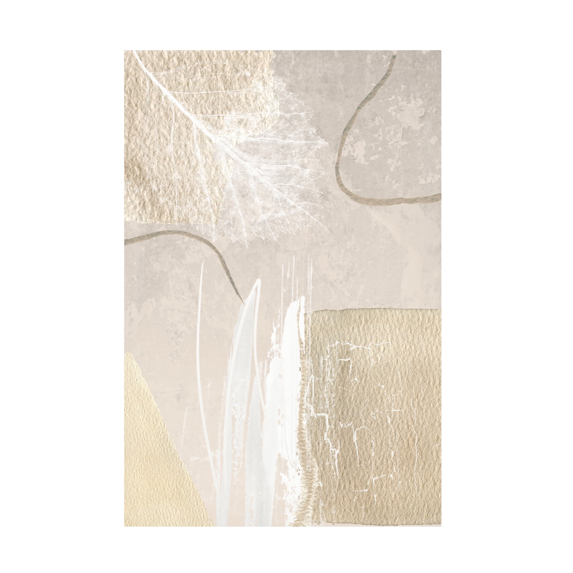Trademark Fine Art Sally Ann Moss Calm Ivory 2 Canvas Wall Art