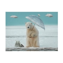 Trademark Fine Art Salome Zhividze Polar bear Canvas Wall Art
