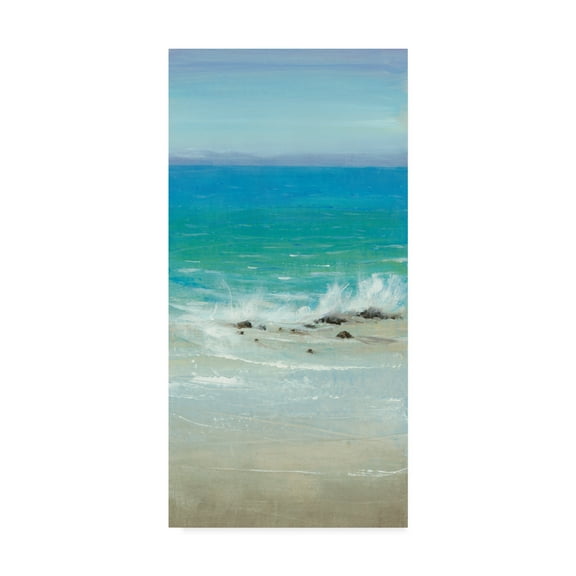 Trademark Fine Art 'Salt Spray I' Canvas Art by Tim OToole