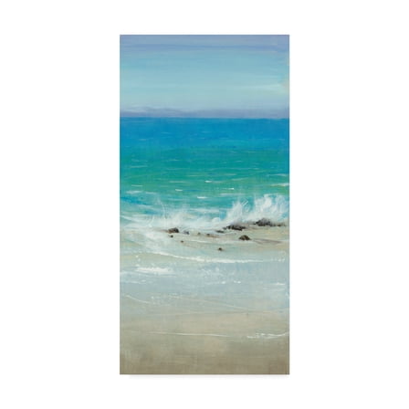 Trademark Fine Art 'Salt Spray I' Canvas Art by Tim OToole