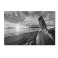 thumbnail image 1 of Trademark Fine Art 'Samish Bay Sunset I BW' Canvas Art by Alan Majchrowicz, 1 of 3