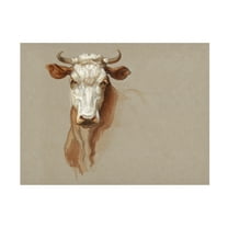 Trademark Fine Art Samuel Colman Colman Cow Portrait Study I Canvas Wall Art