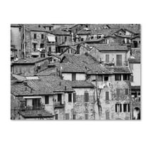 Trademark Fine Art "San Gimignano Texture" Canvas Art by Moises Levy