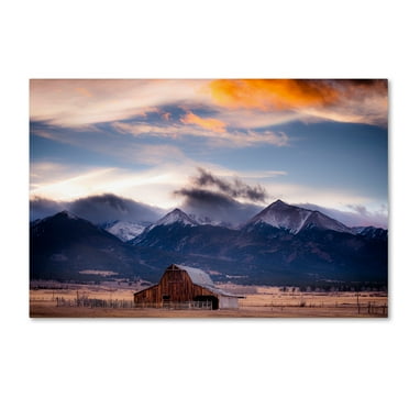 Trademark Fine Art 'San Greys' Canvas Art by Dan Ballard