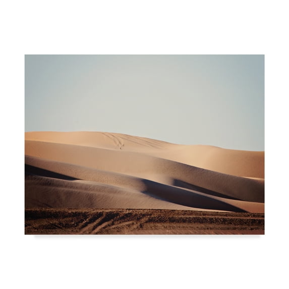 Trademark Fine Art 'Sand Dunes I' Canvas Art by Sylvia Coomes