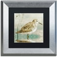 thumbnail image 1 of Trademark Fine Art "Sand Piper I" Canvas Art by Color Bakery Black Matte, Silver Frame, 1 of 1