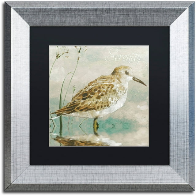 Trademark Fine Art "Sand Piper I" Canvas Art by Color Bakery Black Matte, Silver Frame