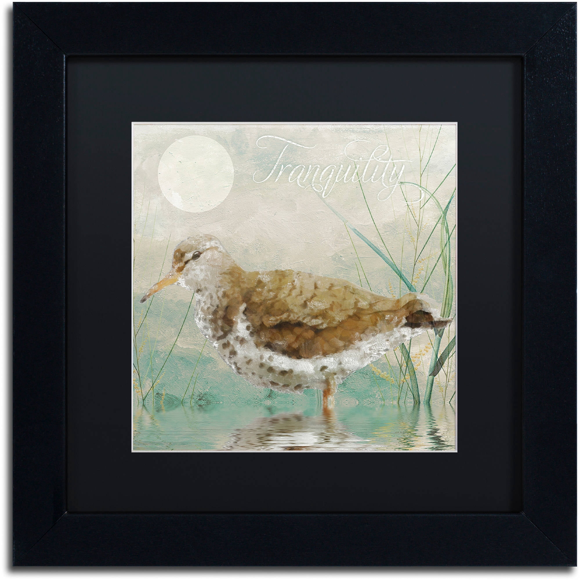Trademark Fine Art "Sand Piper II" Canvas Art by Color Bakery Black Matte, Black Frame
