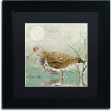 Trademark Fine Art "Sand Piper II" Canvas Art by Color Bakery Black Matte, Black Frame
