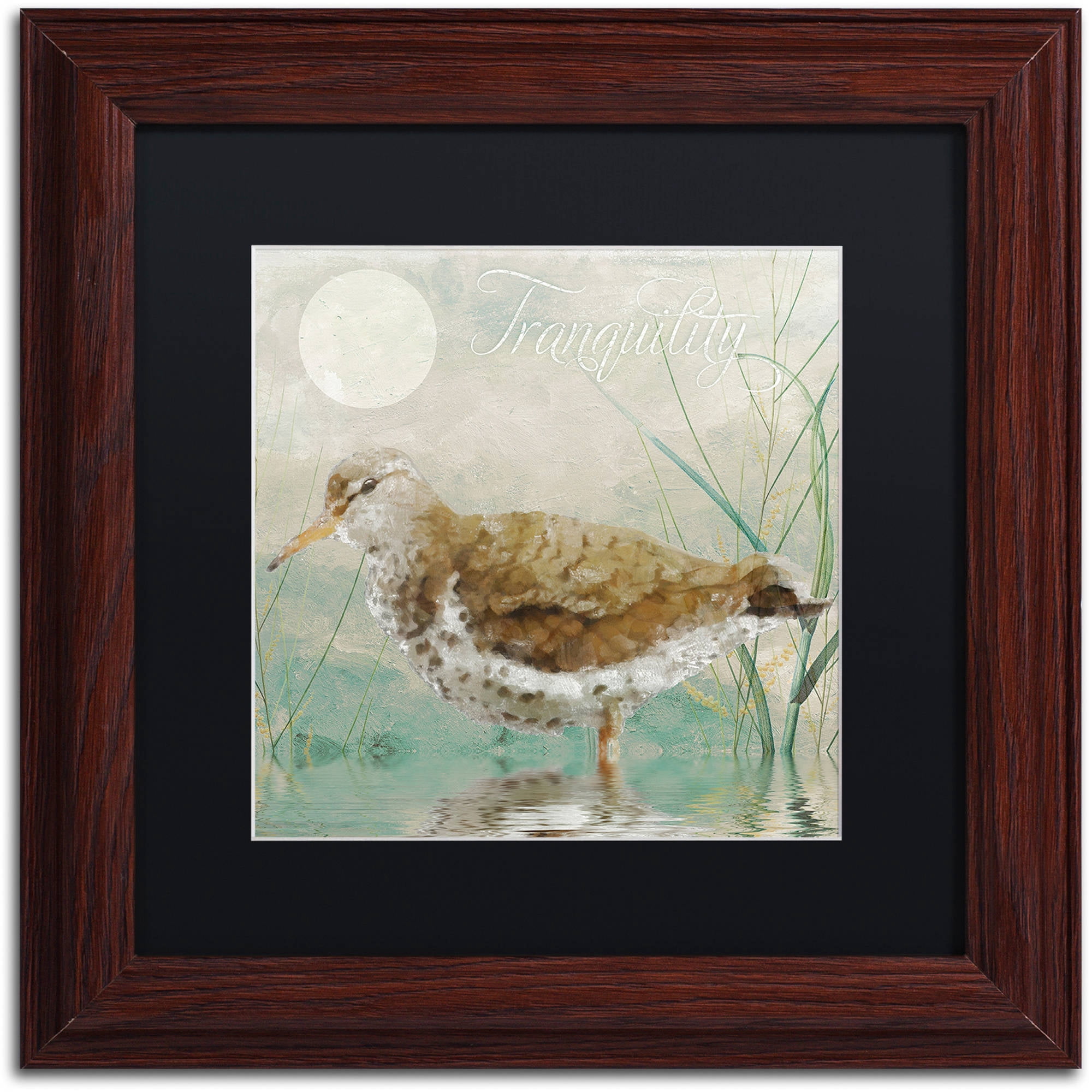 Trademark Fine Art "Sand Piper II" Canvas Art by Color Bakery Black Matte, Wood Frame