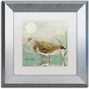 Trademark Fine Art "Sand Piper II" Canvas Art by Color Bakery White Matte, Silver Frame