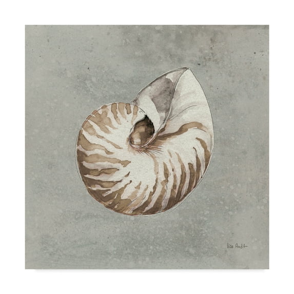 Trademark Fine Art 'Sand and Seashells I' Canvas Art by Lisa Audit