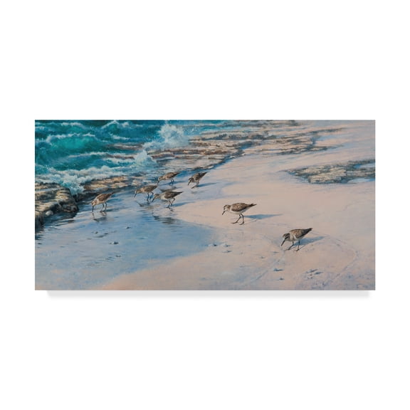 Trademark Fine Art 'Sanderlings On Beach' Canvas Art by Michael Jackson