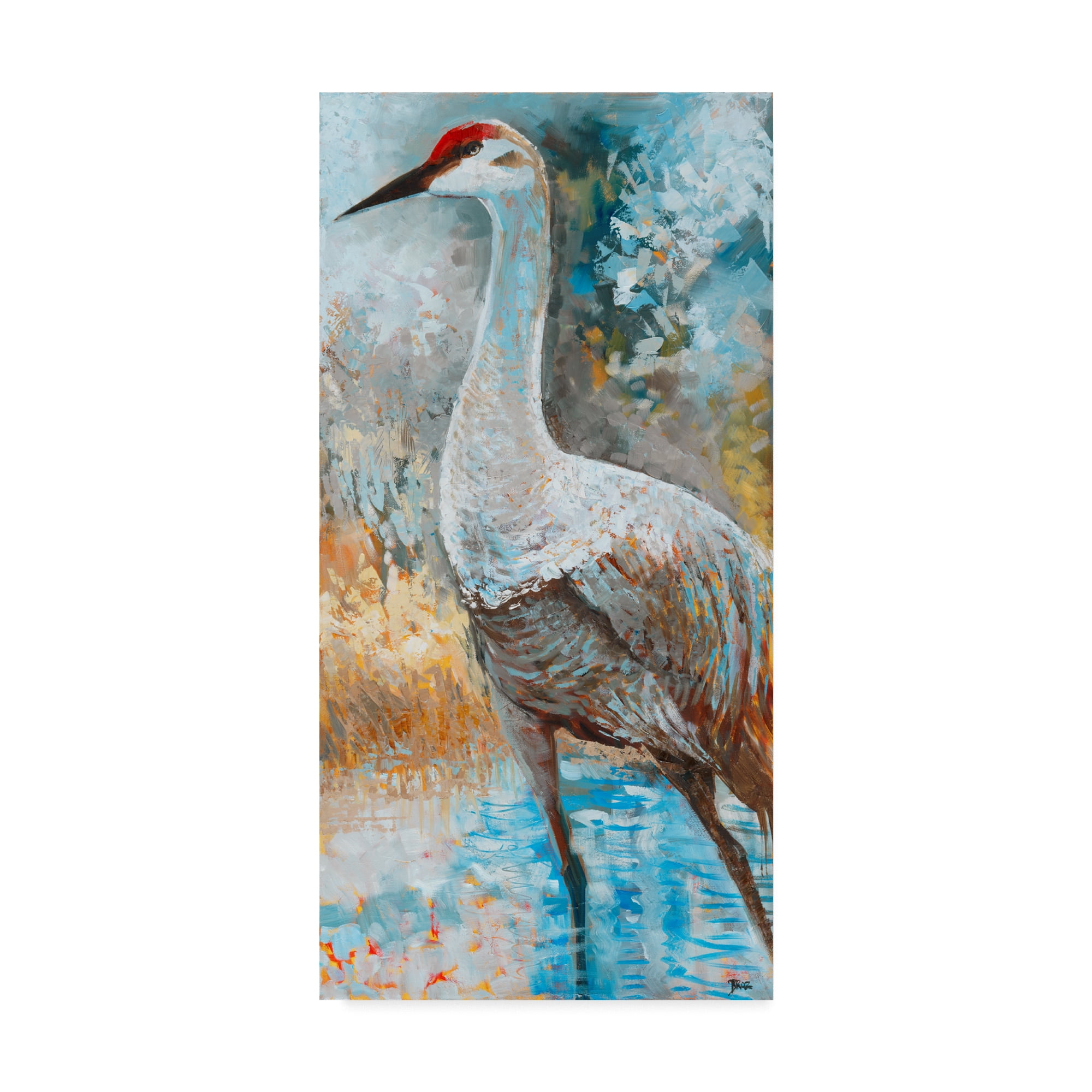 Trademark Fine Art 'Sandhill Cranes I' Canvas Art by Cecile Broz
