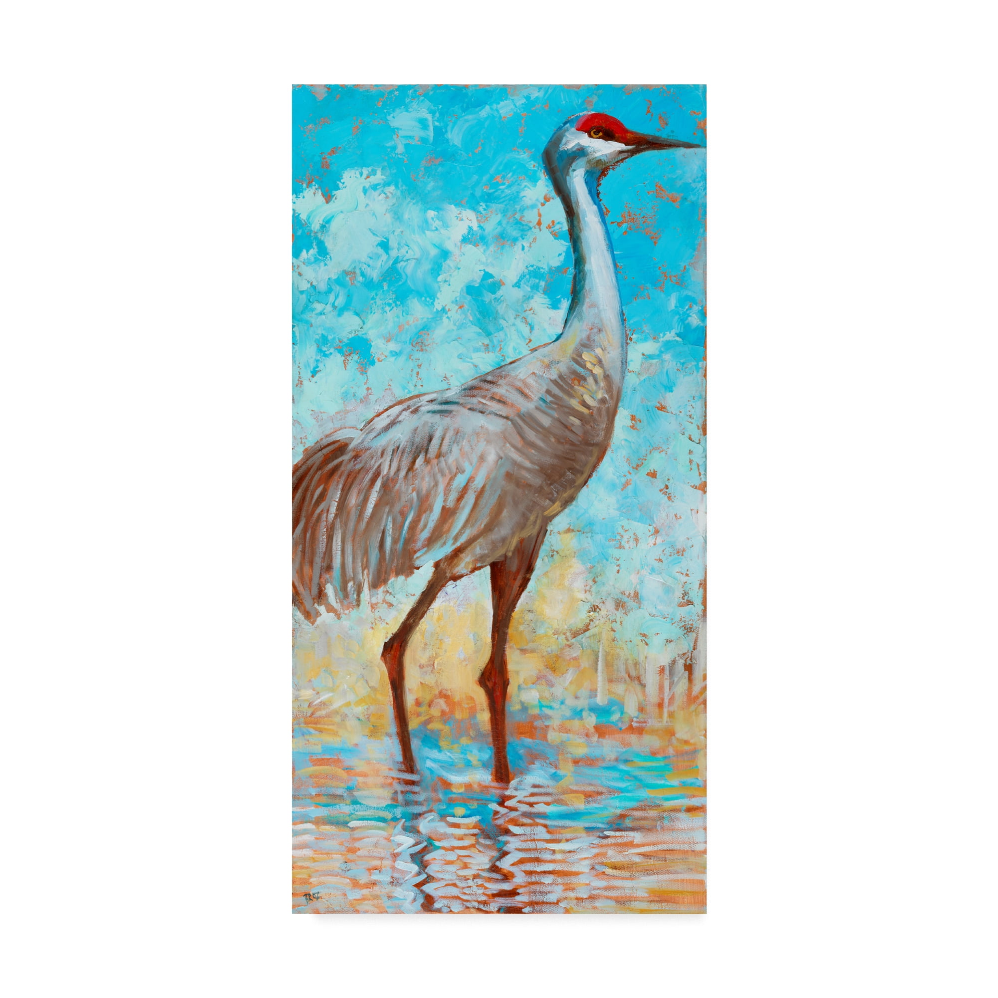 Trademark Fine Art 'Sandhill Cranes II' Canvas Art by Cecile Broz