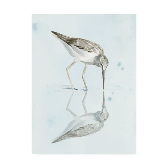Trademark Fine Art 'Sandpiper Reflections I' Canvas Art by Jennifer Paxton Parker