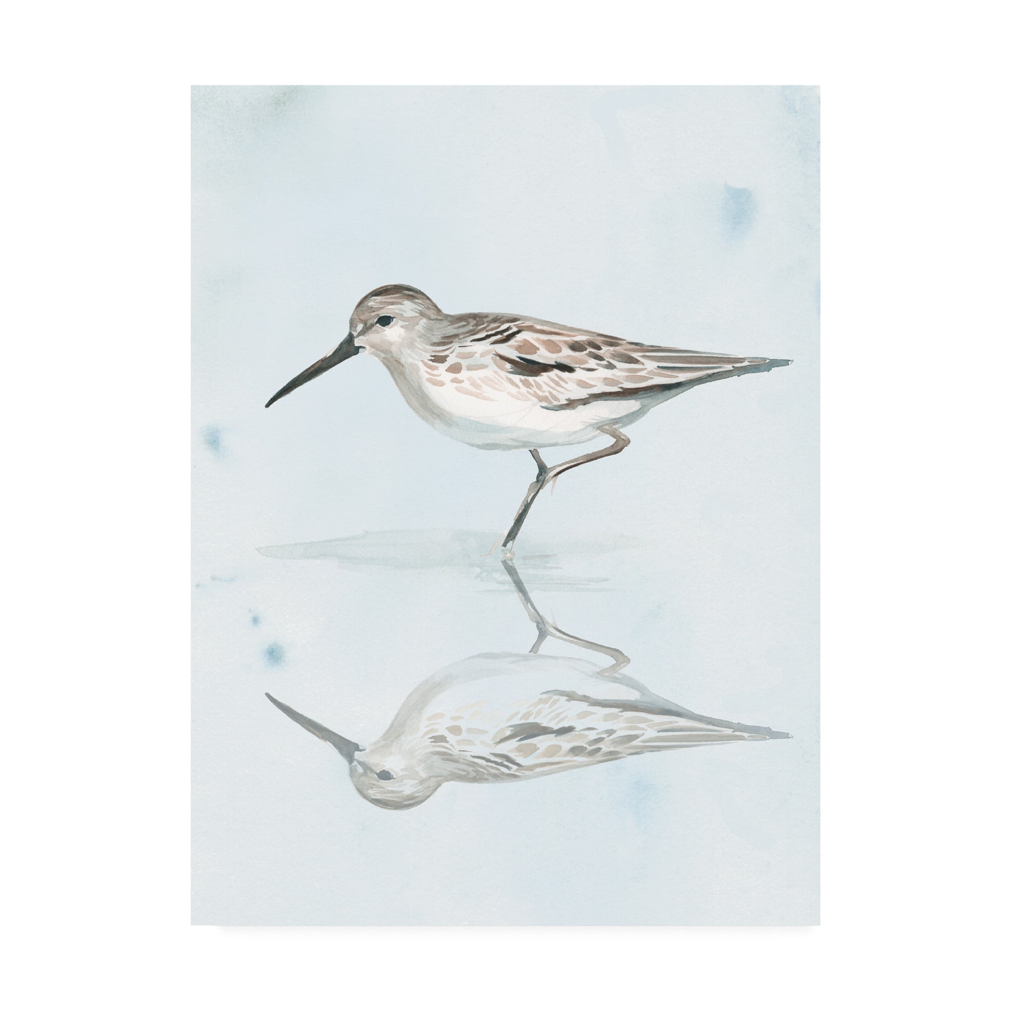 Trademark Fine Art 'Sandpiper Reflections II' Canvas Art by Jennifer Paxton Parker