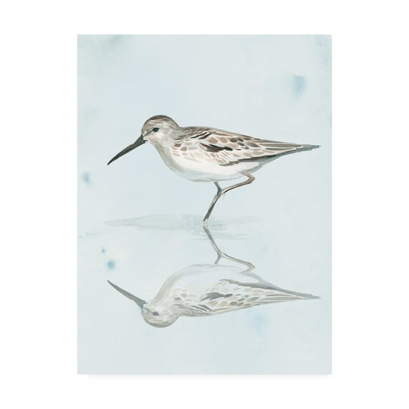 Trademark Fine Art 'Sandpiper Reflections II' Canvas Art by Jennifer Paxton Parker